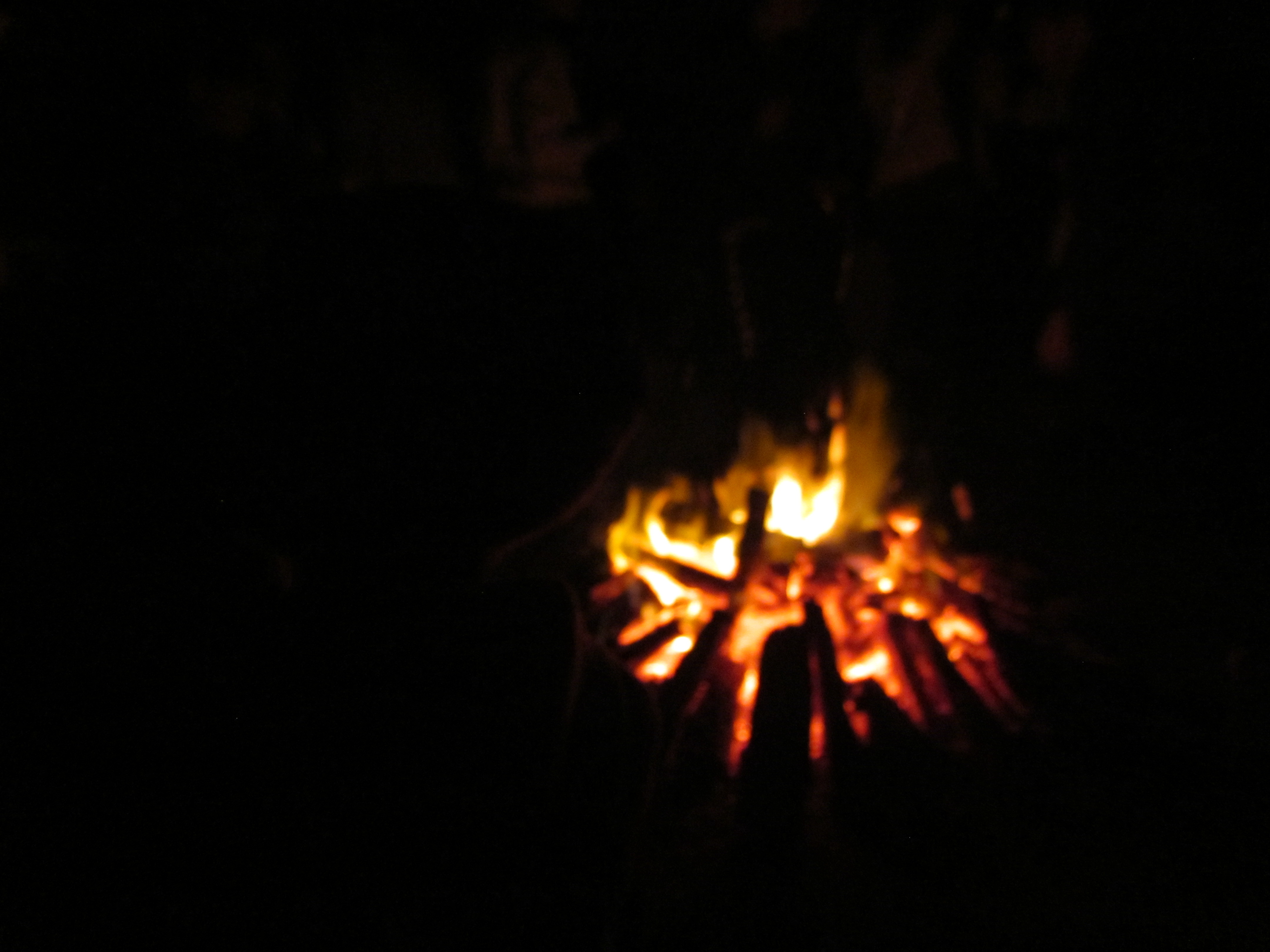IMG_0352.JPG